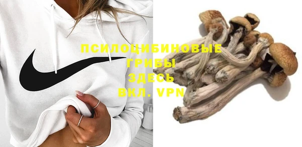 бошки Карпинск