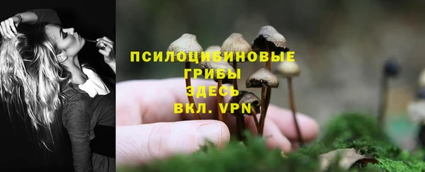 бошки Карпинск