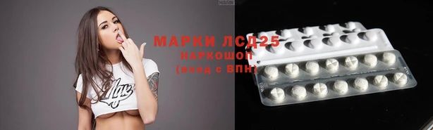 spice Касимов