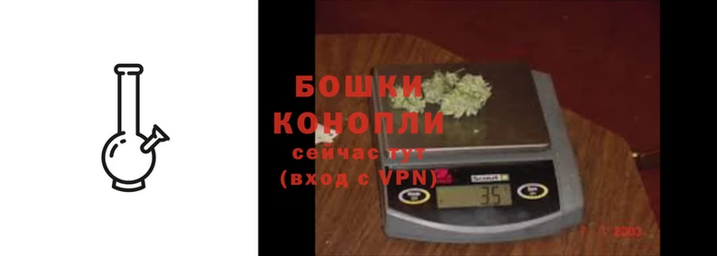 spice Касимов
