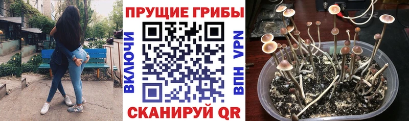 Псилоцибиновые грибы MAGIC MUSHROOMS Купить Вуктыл
